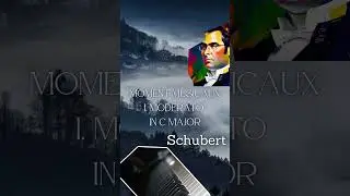 Schubert: Moment Musicaux - I. Moderato in C major - Burhan Erdemir