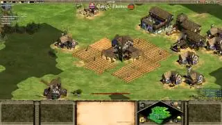 TheViper vs JorDan_23 - AoFE BO11 [Game 9]