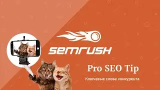 Semrush Pro SEO Tip - не брендовые ключевые слова конкурентов