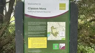 Nature Walks | Glasson Moss | Early Autumn At A Local Nature Reserve