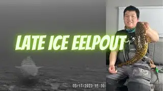 Minnesota Eelpout Fishing With Crazy Underwater Footage!