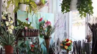 Florist Maple Hills Waterloo Raymond's Flower Shop