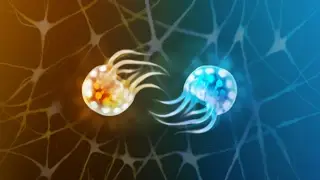 Semispheres - Developed by Vivid Helix