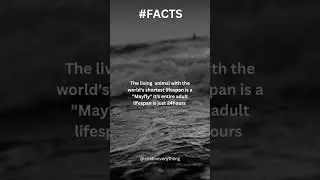 #funfacts #funhistory #animals #educationalvideo #funfactstoknow