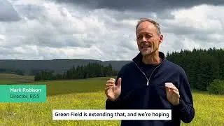 Our Green Field Story