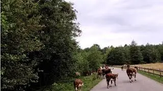 Katalinuhan TV exploring South Sweden