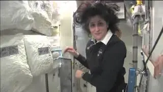 Space Potty