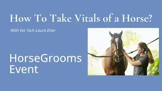 HGE: How to Take the Vitals of a Horse with Laura Elser - Part 1