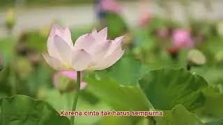Di Antara Kita