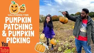 Halloween Pumpkin Patch Family Fun Trip | Liverpool Pumpkin Picking | Nilo&rsquo;s Lifestyle
