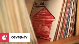 Koleksiyon amaçlı plak alırken nelere dikkat edilmeli?