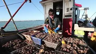La Rochelle : P&ecirc;che aux P&eacute;toncles &agrave; bord du Ptit Boer dans le Pertuis Breton