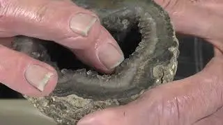 How to polish rocks on a vibrating flat lap
