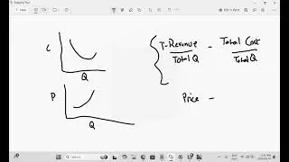 Microeconomics: Profit Margin