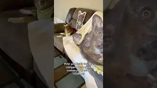 Custom Products of YOUR Pet | MyPetsies