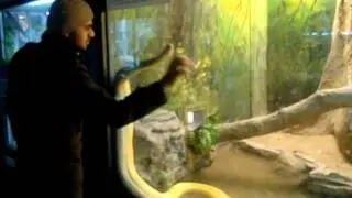 PYTHON IN BEIJING ZOO