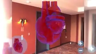 Heart AR - Built by Groove Jones using Apple ARKit