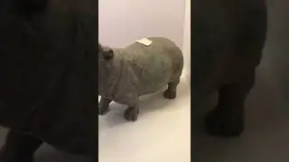 Hippopotamus covered in mud Realistic figurines Hippo sculpture river horse statues