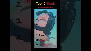 Ranking 10 Shark Core funny moments | Shark core moments | Hilarious shark moments