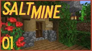 Old Friends, New World! (#1) - SaltMine SMP - A Vanilla Minecraft 1.15 Let's Play