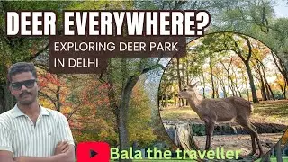 Hauz Khas Deer Park Delhi &ndash; Entry, Timings & Visitor GuideHauz Khas Deer Park Nature Escape in South