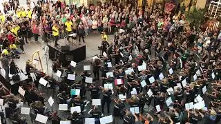 Symphonic Mob 2019 - Meditation from 