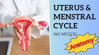 UTERUS & MENSTRUAL CYCLE ANATOMY || Female Reproductive System 👩&zwj;⚕️ || 40 MCQ&rsquo;S 🧐
