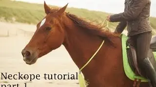 Neckrope tutorial part 1