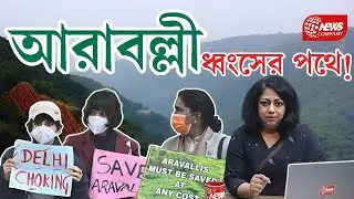 দিল্লি কি ধীরে ধীরে মরুভূমি? দূষণের আড়ালে যে ভয়ংকর সত্য কেউ বলছে না!