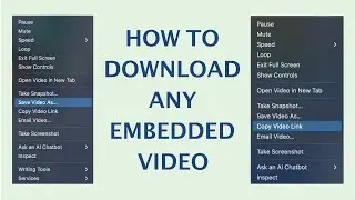 How to Download any Embedded Videos [2 Methods]