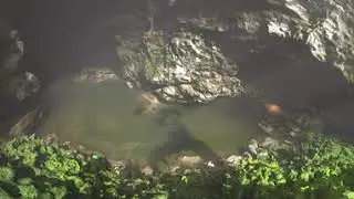 Devilstep Hollow Cave in the Sequatchie Valley of Tennessee