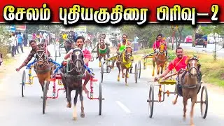 சேலம் புதிய குதிரை பிரிவு-2 25-01-2026 பந்தயம் Selam horse race#krish_studio_kattumavadi