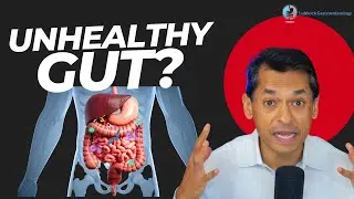 Signs of an Unhealthy Gut You Shouldn&rsquo;t Ignore | Gut Health Explained