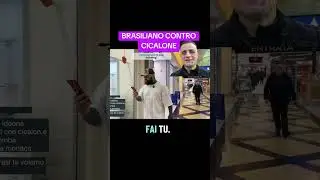BRASILIANO CONTRO CICALONE #brasiliano #cicalone