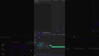 How to make Echo/Reverb fade out | Premiere Pro