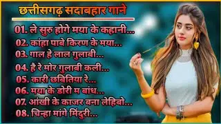ले सुरू होगे मया के कहानी...// Non Stop Cg Song || 2024 Best Cg Song || सदाबहार छतिशगढ़ गाने #CgSong