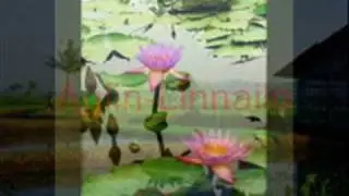 COUNTRY MEDLEY{ILOCANO SONG}