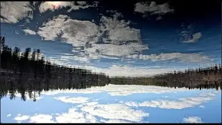 Pavel Svimba - Rainbow Lager Gathering [Official Video]