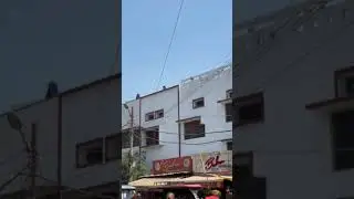 #universityofallahabad Drtarachand hostel holi celebration 😅