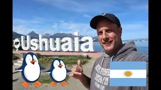 I went on the famous PENGUIN Boat Tour in Ushuaia, Argentina - Is it worth it?