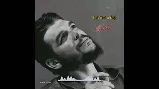 Sindhi Shayari | Comrade Status #shorts