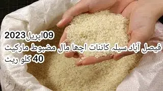 Rice Today's Market Rates | Chawal Rate Sela 1509 & Kainat 1121 Punjab | Sela Chawal Rate 09 April