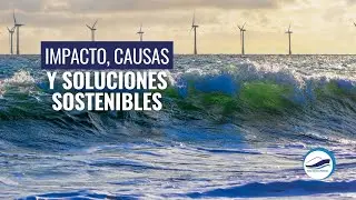 IMPACTO AMBIENTAL DE LAS OPERACIONES MAR&Iacute;TIMAS