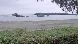 Ocean Village Resort