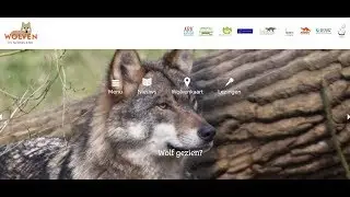 mijn zoektocht naar de wolf in Luttenberg