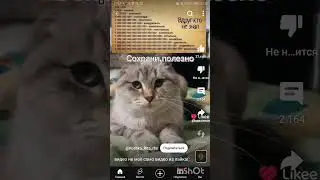14 мая 2024 г.