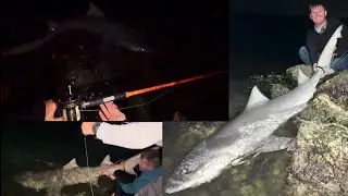 Catch The Fever Hellcat Extra Heavy Fishing Rod Vs Giant Florida Pier Sharks! Ocean Fishing!
