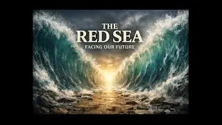 THE RED SEA