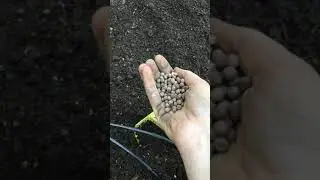 Seeding a Cover Crop with Green City Growers