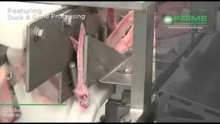 Prime Chicken Wing Segmentor (Duck & Game Processing) - Model No. CWS-1 - Rev.1